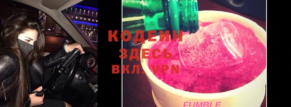 индика Сафоново