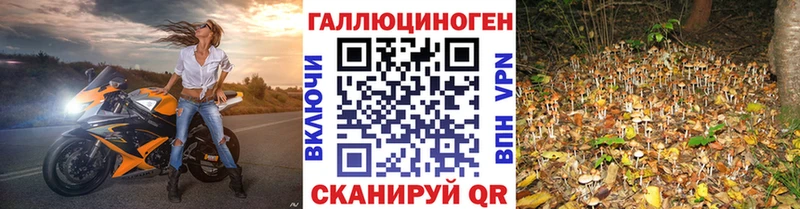 Галлюциногенные грибы ЛСД Первомайск