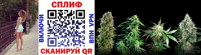 Бошки Шишки White Widow  цены наркотик  Первомайск 